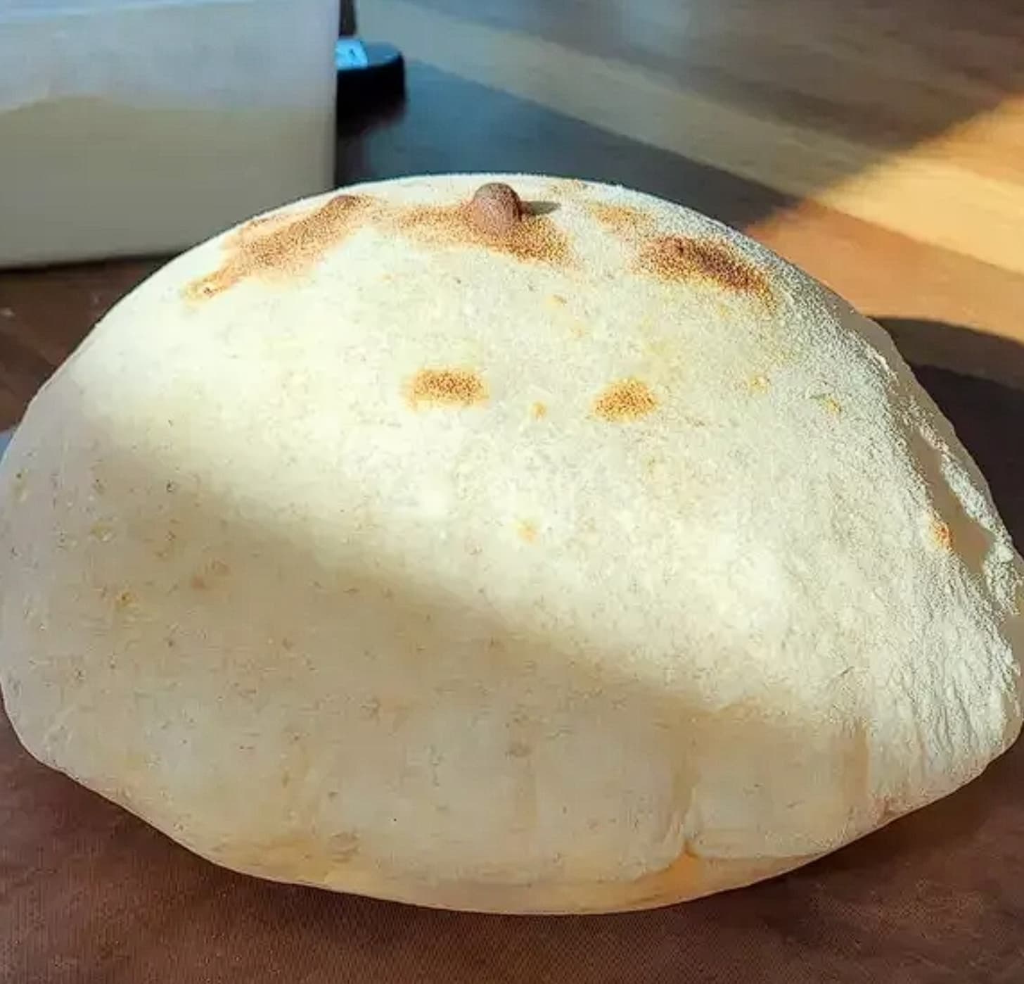 “I just wanted to make some pizza dough at home…”